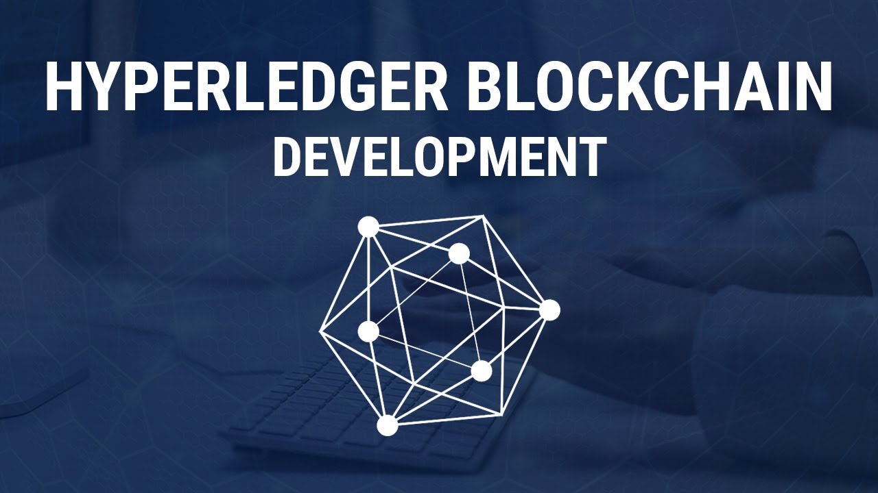 Hyperledger-Development-Scheme-cryptocurrency-software-development-company