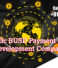 Automatic BUSD Payment gateway Development Company